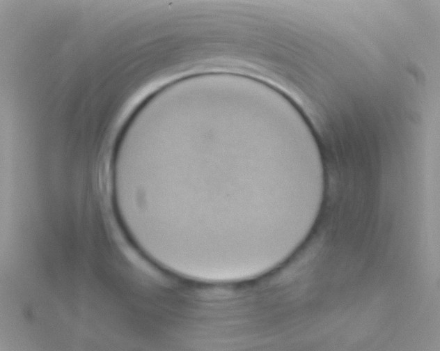 X0000115031515200911231101