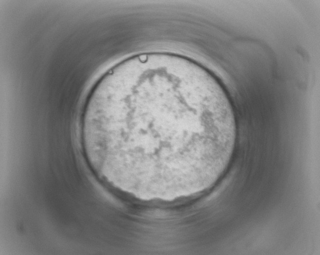 X0000115031517200911231101