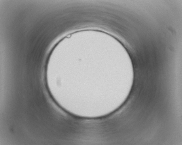 X0000115031518200911231101