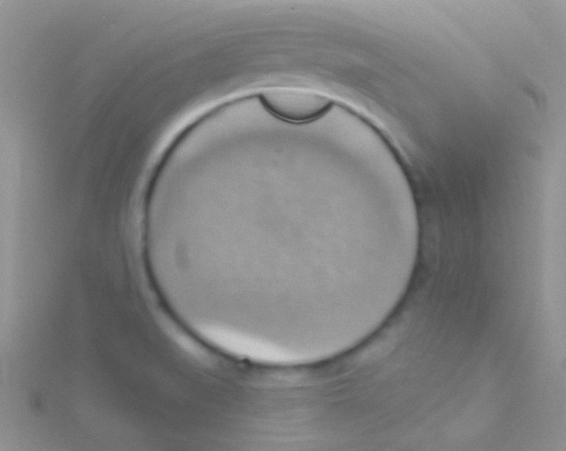 X0000115031519200911231101