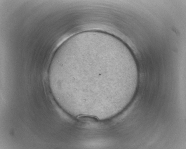 X0000115031521200911231101