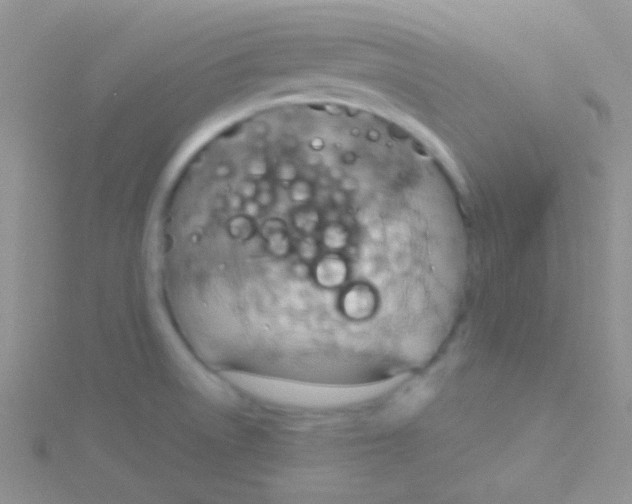 X0000115031522200911231101