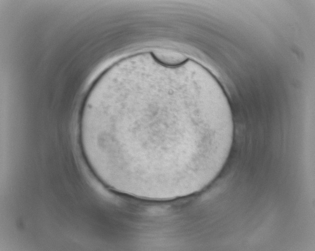 X0000115031523200911231101