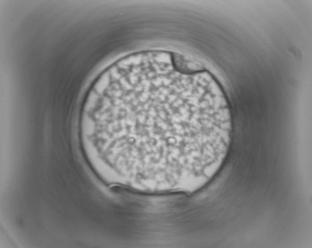 X0000115031525200911231101