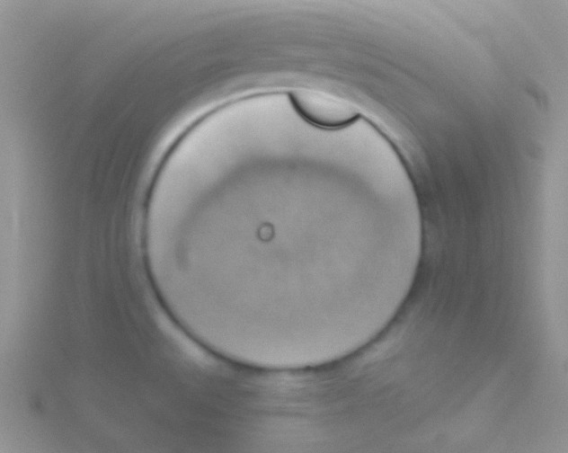 X0000115031527200911231101