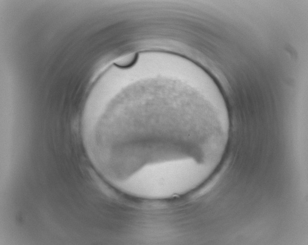 X0000115031529200911231101