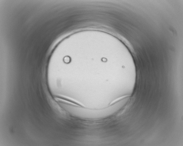 X0000115031530200911231101