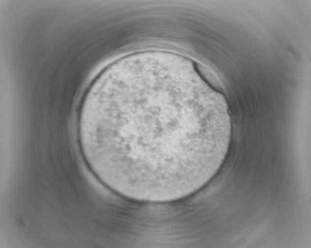 X0000115031531200911231101