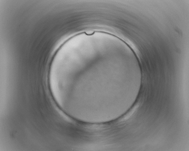 X0000115031533200911231101