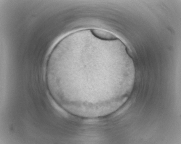 X0000115031535200911231101