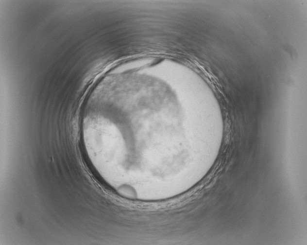 X0000115030002200912071058