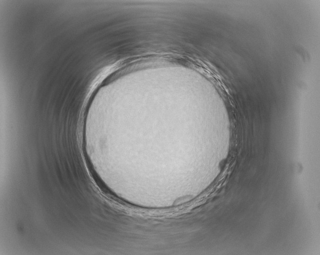 X0000115030003200912071058