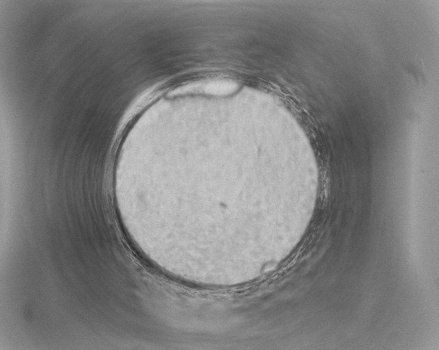 X0000115030004200912071058