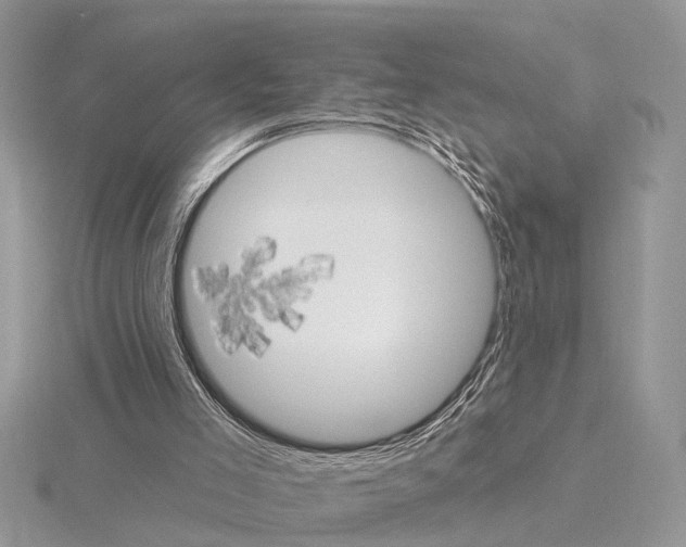 X0000115030005200912071058