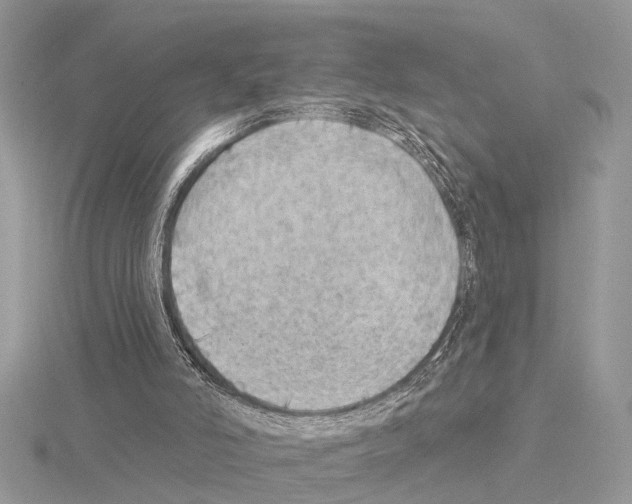 X0000115030006200912071058