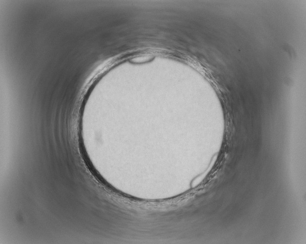 X0000115030007200912071058