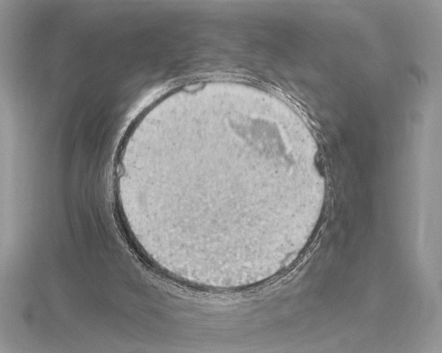 X0000115030008200912071058