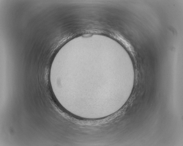 X0000115030009200912071058