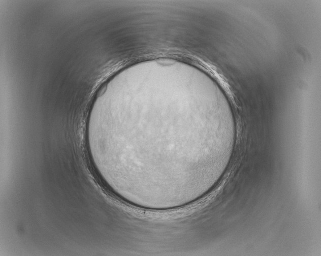 X0000115030010200912071058