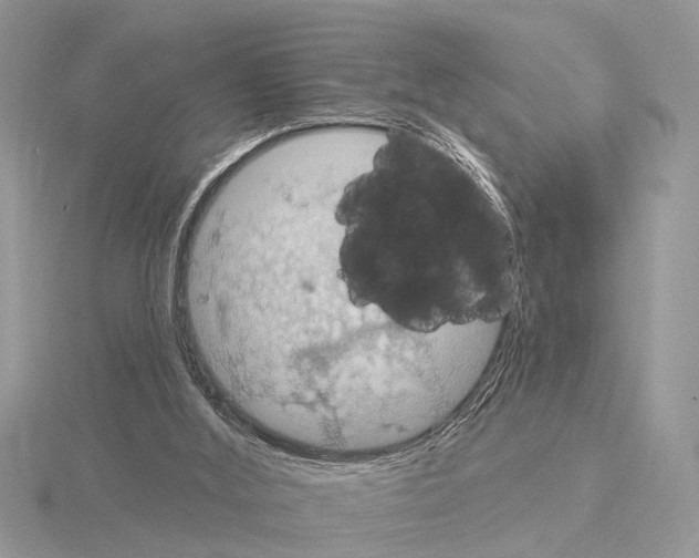 X0000115030012200912071058