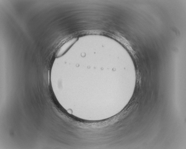 X0000115030013200912071058