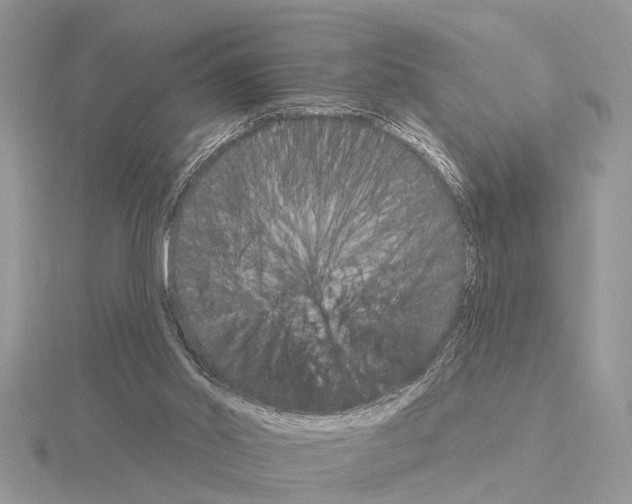 X0000115030014200912071058