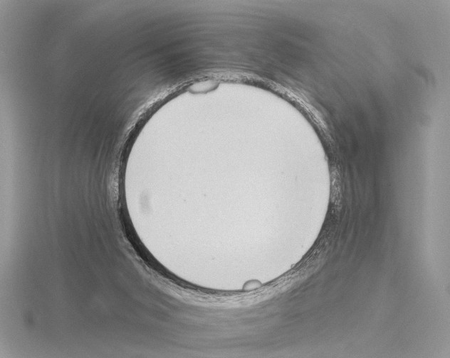 X0000115030015200912071058