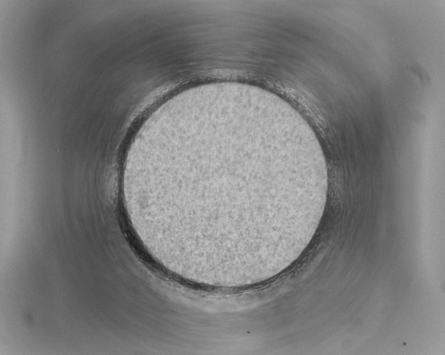 X0000115030016200912071058