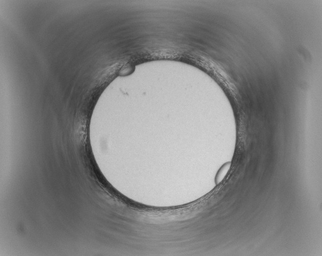 X0000115030017200912071058