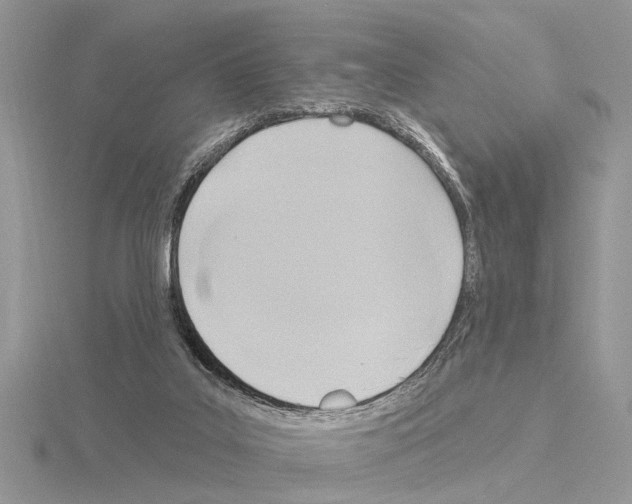 X0000115030019200912071058