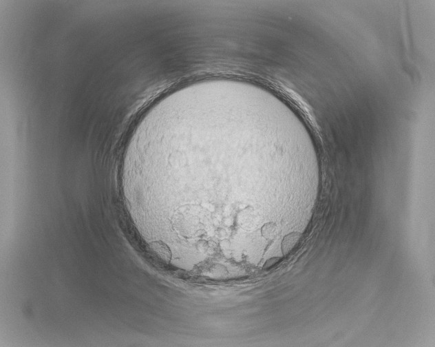 X0000115030020200912071058