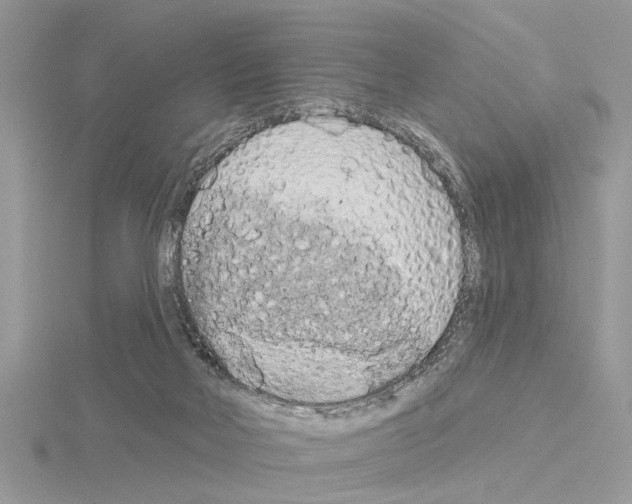 X0000115030026200912071058