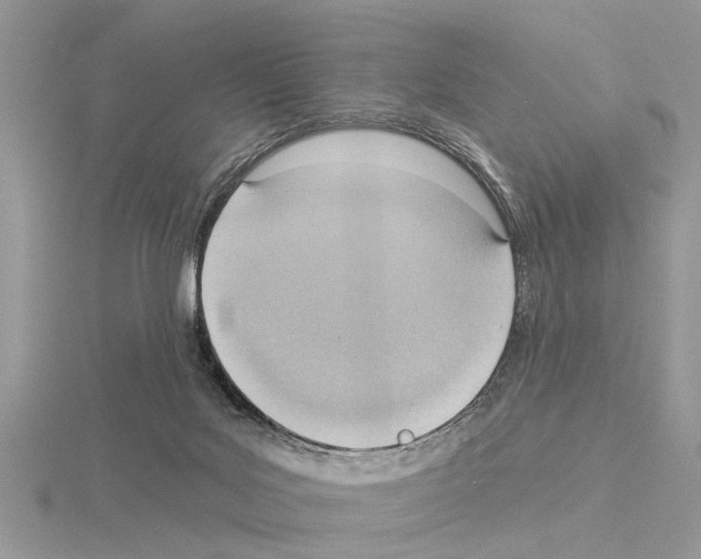 X0000115030027200912071058