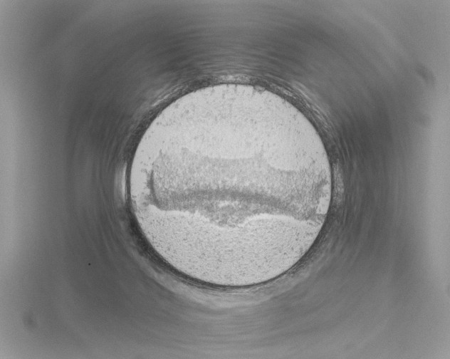 X0000115030028200912071058