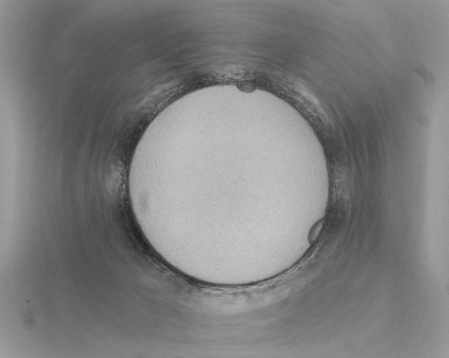 X0000115030029200912071058