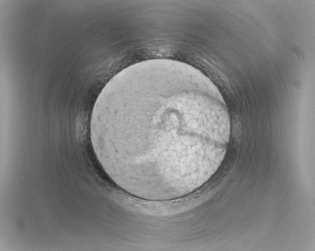 X0000115030030200912071058