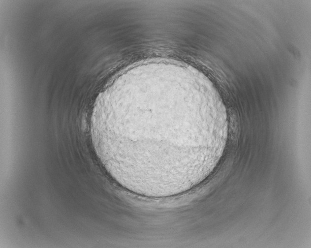 X0000115030034200912071058