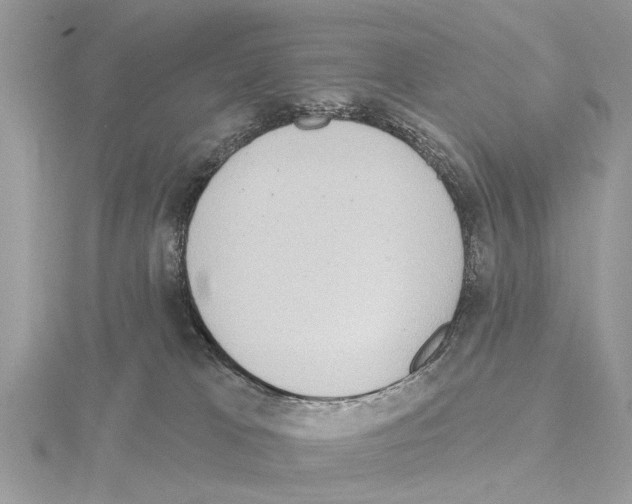 X0000115030037200912071057