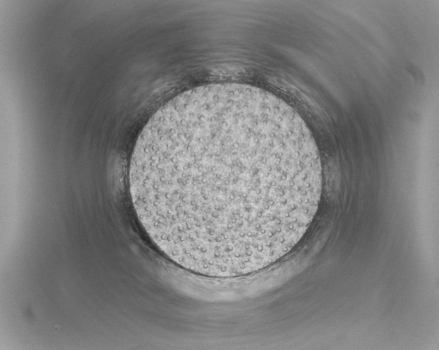 X0000115030038200912071057