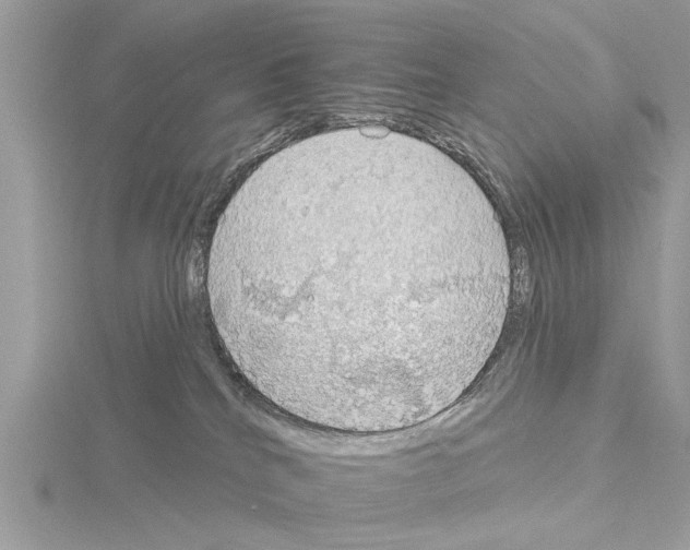 X0000115030040200912071057