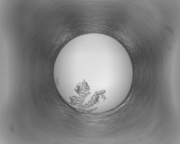 X0000115030041200912071057