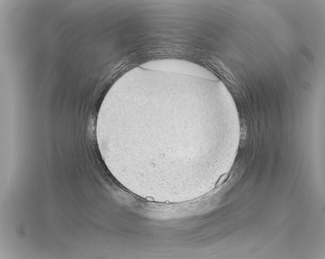 X0000115030045200912071057