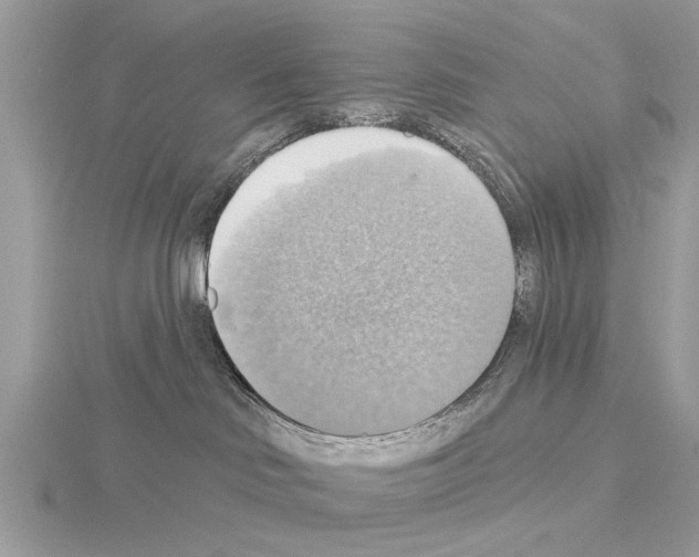 X0000115030046200912071057