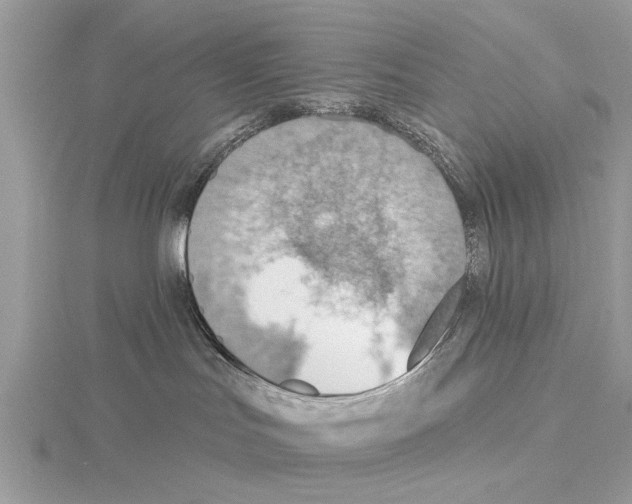 X0000115030047200912071057