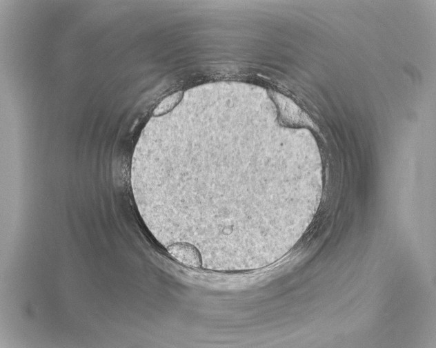 X0000115030048200912071057