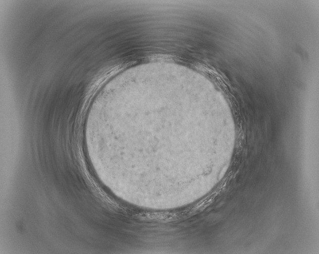 X0000115030049200912071057