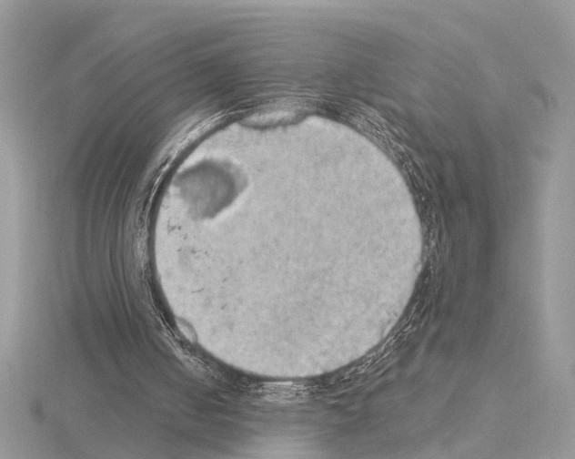 X0000115030050200912071057