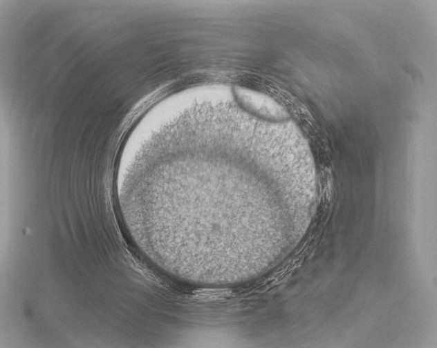 X0000115030051200912071057