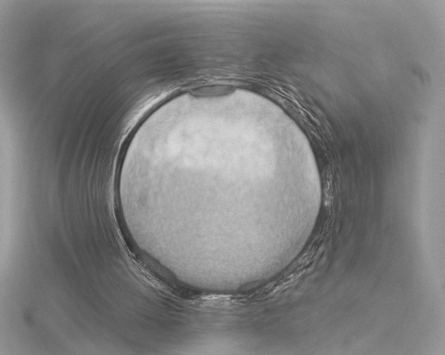 X0000115030052200912071057