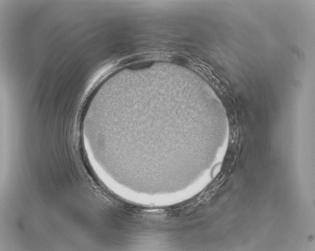 X0000115030053200912071057